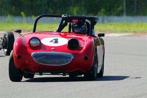 Tom Daly's Austin-Healey Sprite