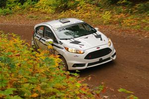 Nick Allen / Matt James Ford Fiesta ST on SS2, Bob Lake I.