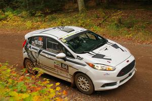 Nick Allen / Matt James Ford Fiesta ST on SS2, Bob Lake I.