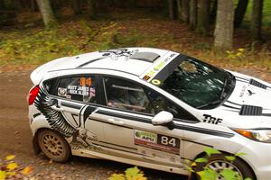 Nick Allen / Matt James Ford Fiesta ST on SS2, Bob Lake I.