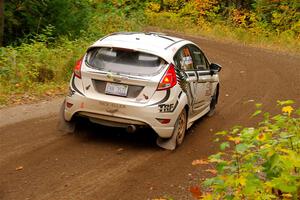 Nick Allen / Matt James Ford Fiesta ST on SS2, Bob Lake I.