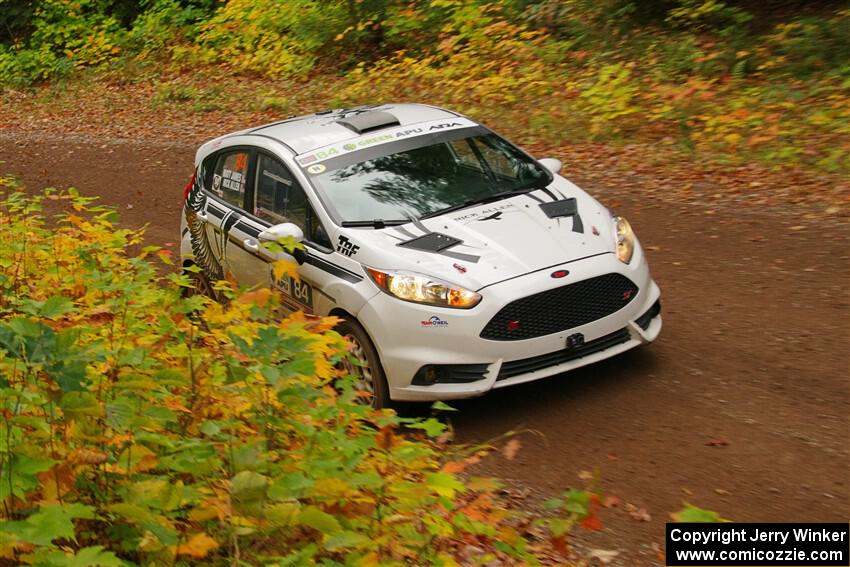 Nick Allen / Matt James Ford Fiesta ST on SS2, Bob Lake I.