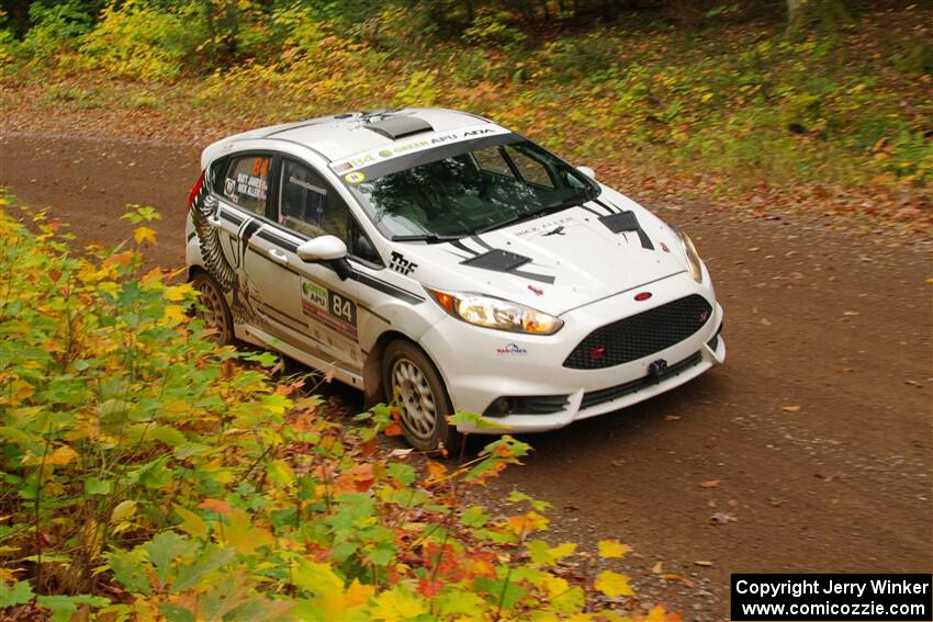 Nick Allen / Matt James Ford Fiesta ST on SS2, Bob Lake I.