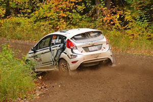 Nick Allen / Matt James Ford Fiesta ST on SS2, Bob Lake I.