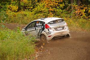 Nick Allen / Matt James Ford Fiesta ST on SS2, Bob Lake I.