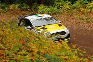 Al Kaumeheiwa / Cindy Krolikowski Ford Fiesta Rally3 on SS2, Bob Lake I.