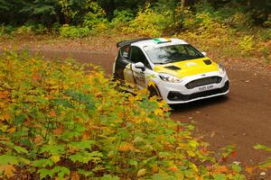 Al Kaumeheiwa / Cindy Krolikowski Ford Fiesta Rally3 on SS2, Bob Lake I.