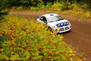 Doug B. Shepherd / Chris LaBaere Dodge SRT-4 on SS2, Bob Lake I.