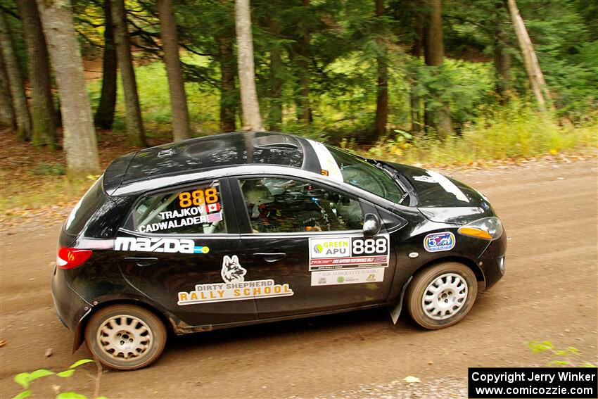 Tommy Cadwalader / Stefan Trajkov Mazda 2 on SS2, Bob Lake I.