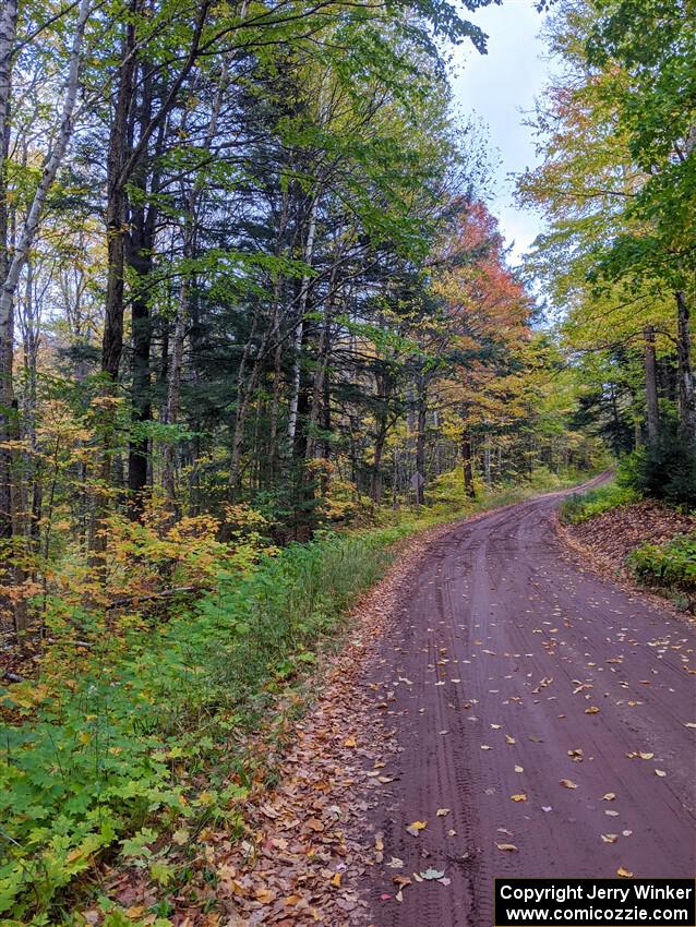 A view of the road into SS6, Bob Lake II.