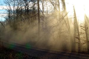 Dust hangs in the air between cars on SS2.