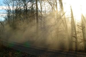 Dust hangs in the air between cars on SS2.