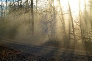 Dust hangs in the air between cars on SS2.