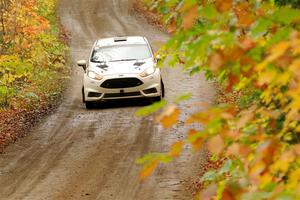 Nick Allen / Matt James Ford Fiesta ST on SS13, Trouble.