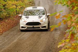 Nick Allen / Matt James Ford Fiesta ST on SS13, Trouble.