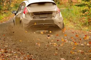 Nick Allen / Matt James Ford Fiesta ST on SS13, Trouble.