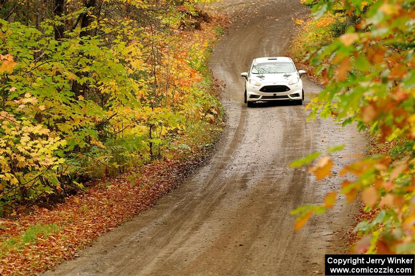 Nick Allen / Matt James Ford Fiesta ST on SS13, Trouble.