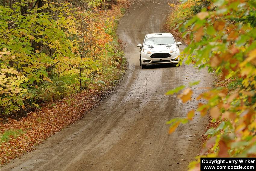 Nick Allen / Matt James Ford Fiesta ST on SS13, Trouble.