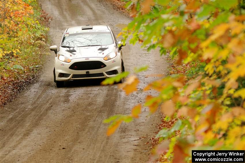 Nick Allen / Matt James Ford Fiesta ST on SS13, Trouble.