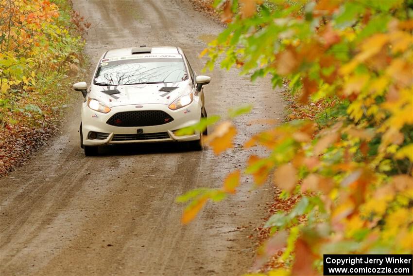 Nick Allen / Matt James Ford Fiesta ST on SS13, Trouble.