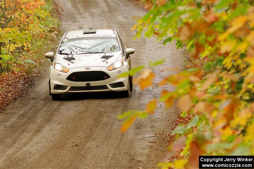 Nick Allen / Matt James Ford Fiesta ST on SS13, Trouble.