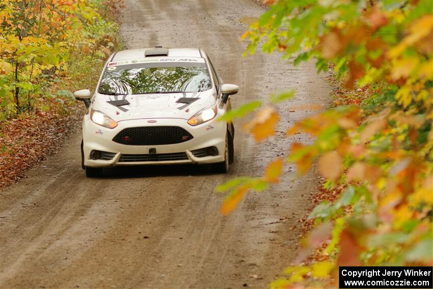 Nick Allen / Matt James Ford Fiesta ST on SS13, Trouble.