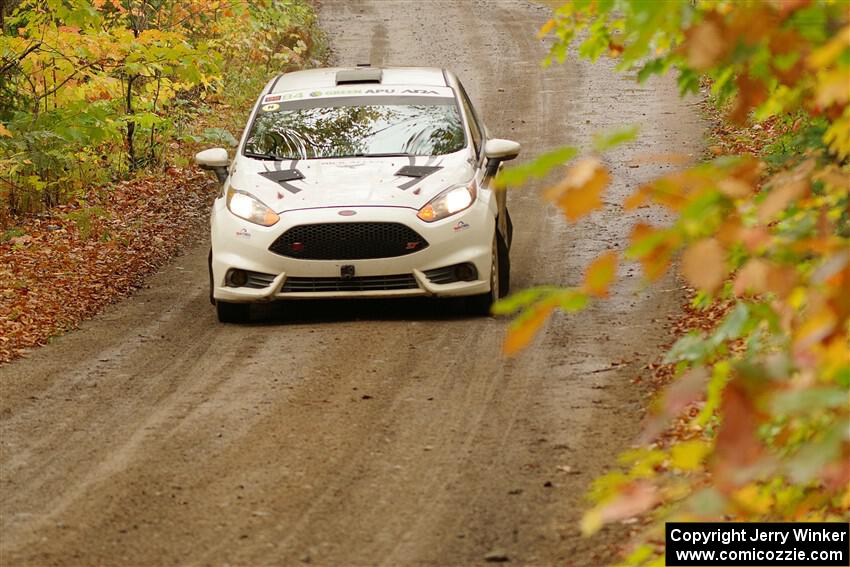 Nick Allen / Matt James Ford Fiesta ST on SS13, Trouble.