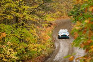 Alastair Scully / Alison LaRoza Ford Fiesta ST on SS13, Trouble.