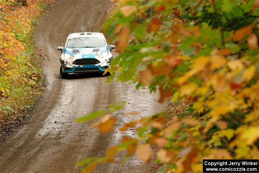 Alastair Scully / Alison LaRoza Ford Fiesta ST on SS13, Trouble.