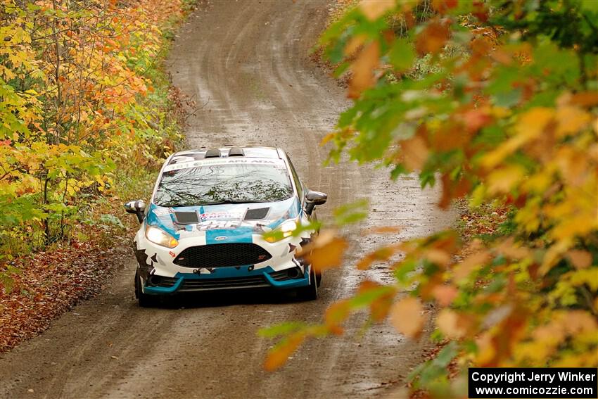 Alastair Scully / Alison LaRoza Ford Fiesta ST on SS13, Trouble.