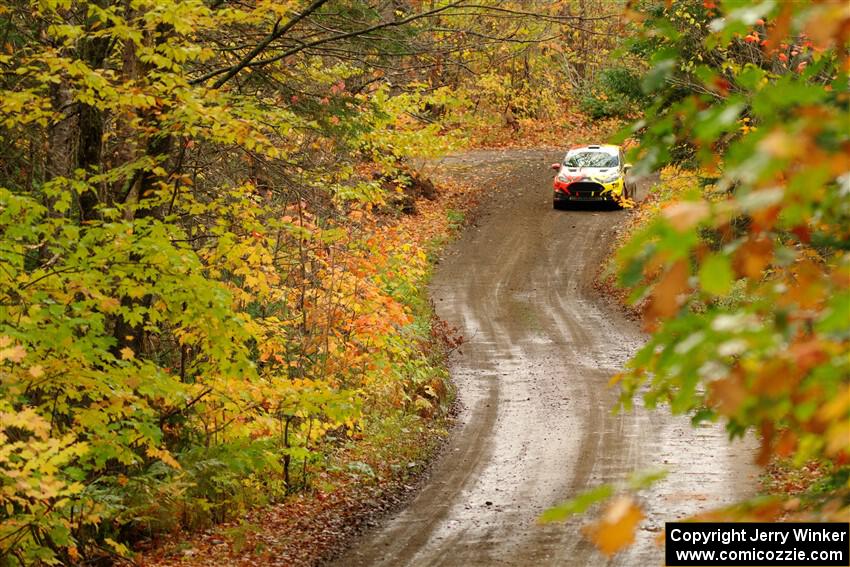 Nikhil Thakur / Zack Goldstein Ford Fiesta ST on SS13, Trouble.