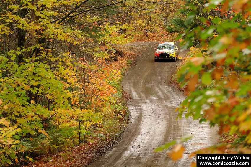 Nikhil Thakur / Zack Goldstein Ford Fiesta ST on SS13, Trouble.