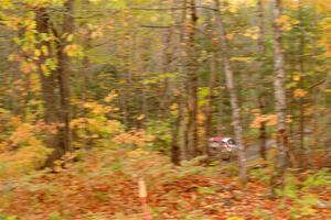 Chris Cyr / Glen Ray Ford Fiesta ST on SS15, Double Trouble.