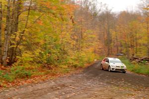 Steve Bis / Kelly Keefe VW Golf R on SS15, Double Trouble.