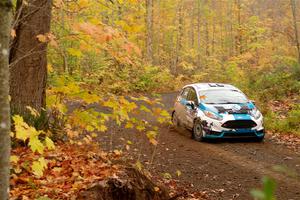 Alastair Scully / Alison LaRoza Ford Fiesta ST on SS15, Double Trouble.