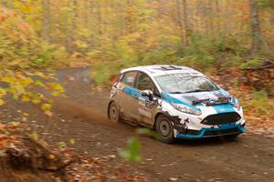 Alastair Scully / Alison LaRoza Ford Fiesta ST on SS15, Double Trouble.