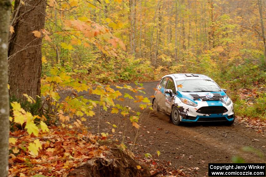 Alastair Scully / Alison LaRoza Ford Fiesta ST on SS15, Double Trouble.