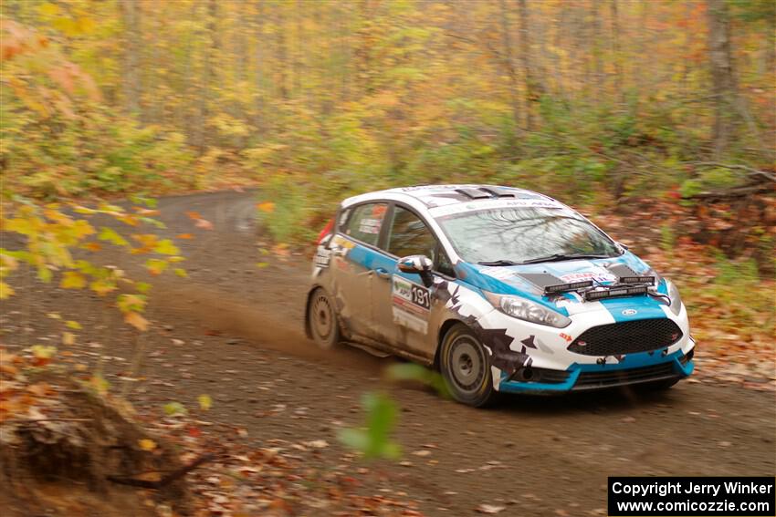 Alastair Scully / Alison LaRoza Ford Fiesta ST on SS15, Double Trouble.