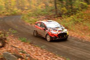 Nikhil Thakur / Zack Goldstein Ford Fiesta ST on SS15, Double Trouble.