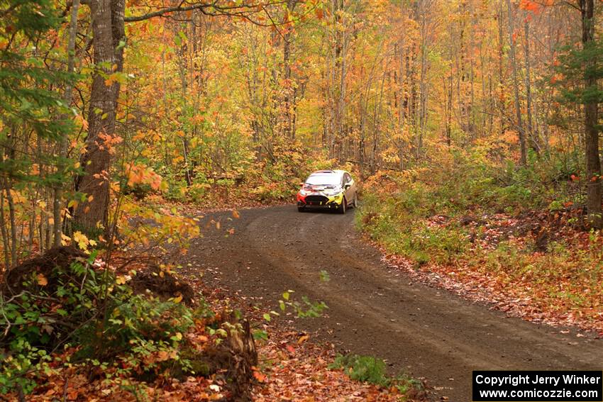 Nikhil Thakur / Zack Goldstein Ford Fiesta ST on SS15, Double Trouble.