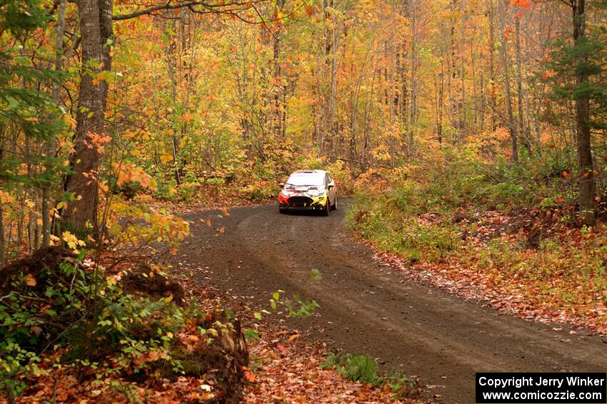 Nikhil Thakur / Zack Goldstein Ford Fiesta ST on SS15, Double Trouble.