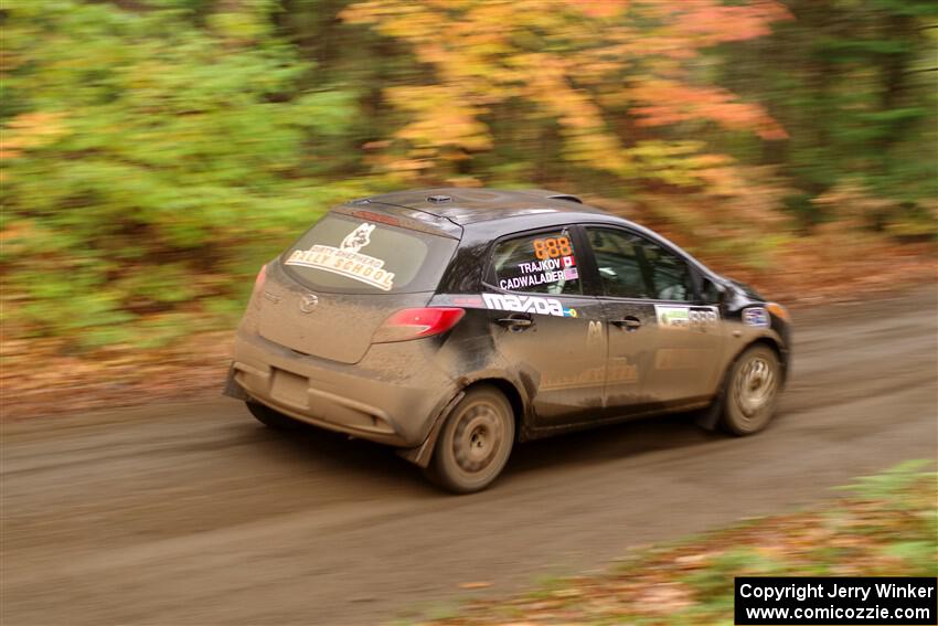 Tommy Cadwalader / Stefan Trajkov Mazda 2 on SS15, Double Trouble.