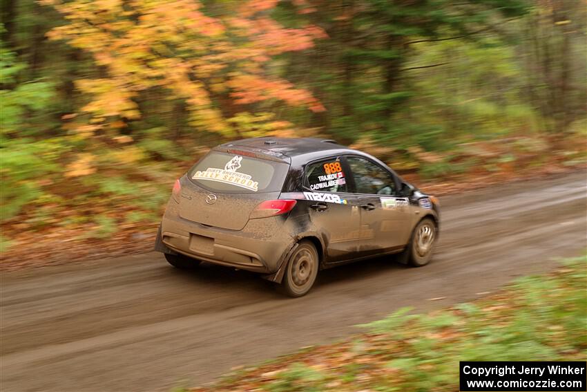 Tommy Cadwalader / Stefan Trajkov Mazda 2 on SS15, Double Trouble.