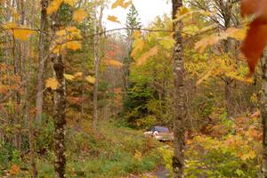 Jason Cook / Maggie Tu Subaru WRX on SS15, Double Trouble.