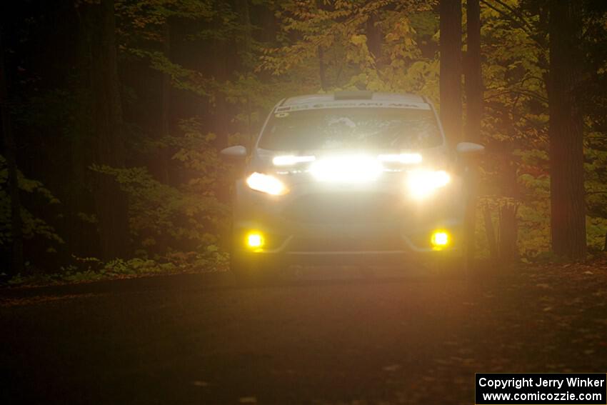 Nick Allen / Matt James Ford Fiesta ST on SS16, Mount Marquette.