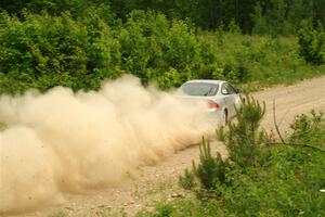 Derek Denti / Josh Remmetter Acura RSX on SS3, Woodtick Hollow.