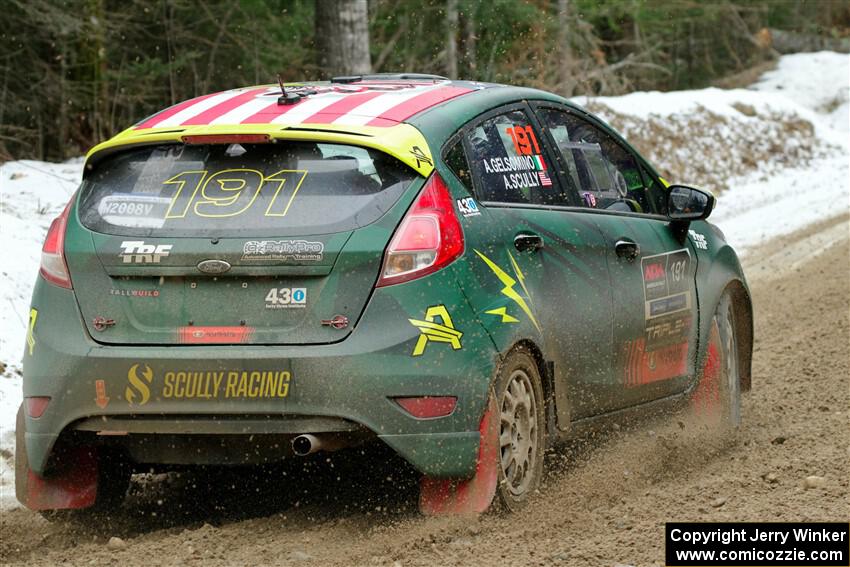 Alastair Scully / Alex Gelsomino Ford Fiesta ST on SS7, Hunters-McCormick Lake I.