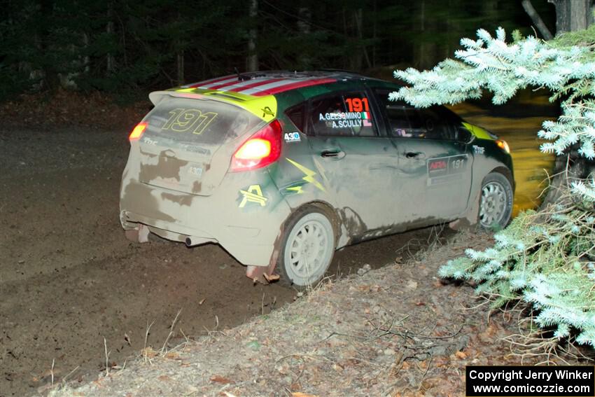 Alastair Scully / Alex Gelsomino Ford Fiesta ST on SS14, Thunder River.