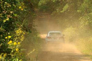 Michael Hooper / Michael Hordijk Lexus IS350 on SS2, Thorpe Tower I.