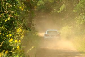 Michael Hooper / Michael Hordijk Lexus IS350 on SS2, Thorpe Tower I.